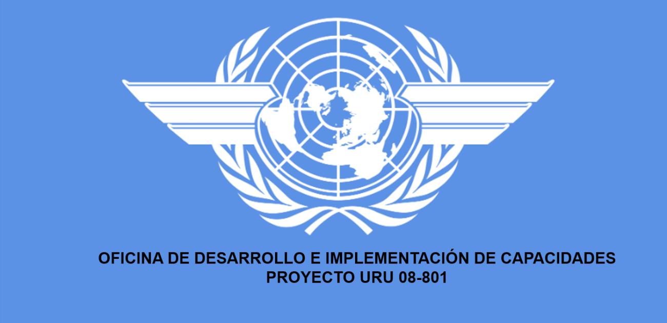 Llamado Proyecto URU 08-801