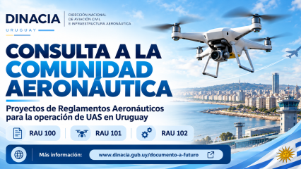 CONSULTA COMUNIDAD AERONAUTICA